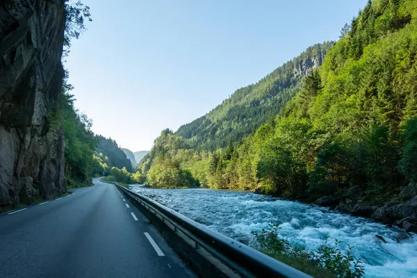 Norveç 'te dolambaçlı bir yol, uzun yeşil ağaçlar ve dik dağlarla çevrili canlı mavi bir nehir boyunca uzanır, temiz bir gökyüzü altında, doğanın huzurunu şafakta yakalar..