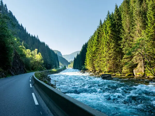 Norveç 'te yemyeşil ağaçlar ve dağlarla çevrili düz bir yol boyunca akan bir nehir, açık bir günde doğanın sükunetini ve güzelliğini gözler önüne seriyor..