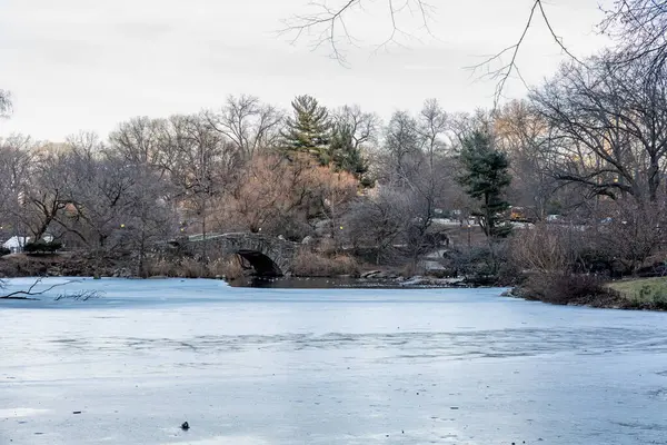 Central Park, NYC 'de sakin bir kış sahnesi, donmuş bir gölet, yapraksız ağaçlar ve Gapstow Köprüsü' nün tarihi taş kemeri. Durgun mevsimsel renkler ve sakin şehir atmosferiyle huzurlu bir öğleden sonranın sessiz güzelliğini yakalıyor..