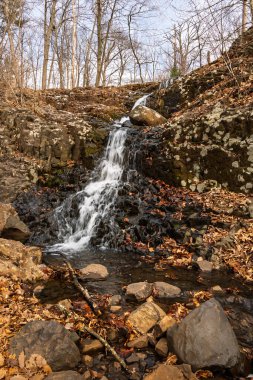 Hobble Şelalesi, Güney Dağ Bölgesi 'nde huzurlu bir şelale. NJ, sonbahar yaprakları ve ilkbaharın başlarında çıplak ağaçlarla çevrili karanlık kayaların üzerinden akıyor. 