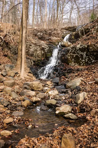 New Jersey 'de bir orman şelalesi, Hobble Şelalesi, kayalık arazide yavaşça akıyor, etrafını yapraklar ve yapraksız ağaçlar sarmış bir orman parkında..