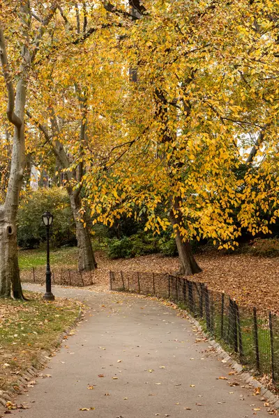 New York 'taki Central Park boyunca uzanan sessiz bir patika. Altın sonbahar ağaçları ve dağınık yapraklarla dolu..