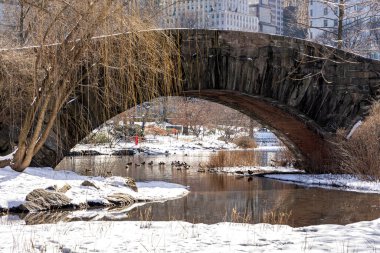 Central Park, New York 'taki Gapstow Köprüsü karla kaplı zemin ve gölde huzurlu bir günün tadını çıkaran ördekler..