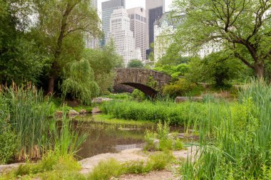 Serin bir Haziran gününde Central Park 'taki Gapstow Köprüsü yemyeşil ile çevrilidir. Küçük bir gölet, arka planda yüksek şehir binaları, doğa ve şehir yaşamını harmanlıyor..