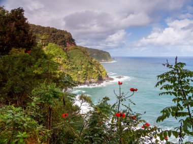 Maui 'nin Hana yolu boyunca uzanan kıyı şeridinin nefes kesici manzarasını deneyin, yemyeşil, renkli çiçekler, ve parçalı bulutlu bir gökyüzünün altında okyanusla buluşan vurucu kayalıklar..