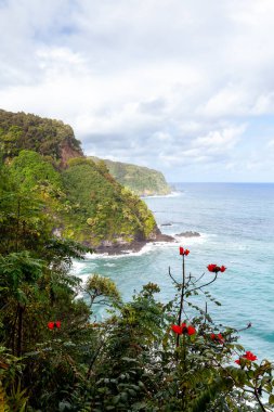 Bereketli yeşillik, renkli çiçekler ve dramatik uçurumlar Maui, Hawaii 'deki Hana' ya giden ikonik yol boyunca nefes kesici kıyı manzarasını tanımlar..