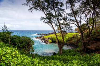 Sivri lav kayalıklarının sonsuz Pasifik 'le buluştuğu Mauis kıyı şeridinin dokunulmamış güzelliğini deneyin. Hawaii adasında uzak bir tropik cennet gösteriliyor.. 