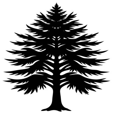 Doğal Sedir Ağacı Silüeti Vektör Sanat İllüstrasyonu Doğa Temalı Tasarım, Peyzaj ve Çevresel Markalaşma