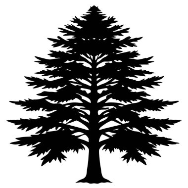 Doğal Sedir Ağacı Silüeti Vektör Sanat İllüstrasyonu Doğa Temalı Tasarım, Peyzaj ve Çevresel Markalaşma