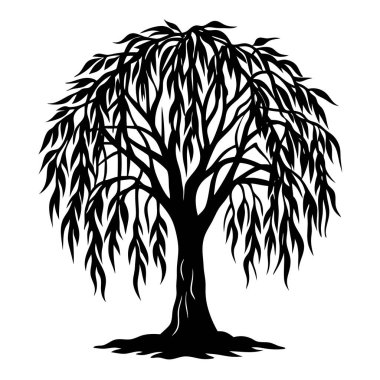 Doğal Söğüt Ağacı Silüeti Vektör Sanatı Doğa Temalı, Çevresel ve Peyzaj Projeleri İçin Zarif Tasarım