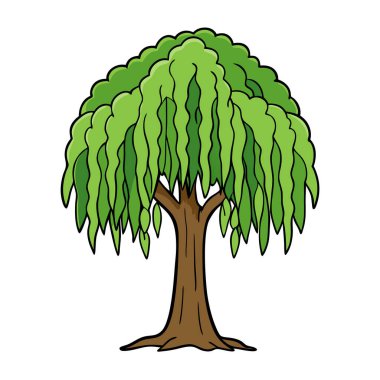 Doğal Söğüt Ağacı Silüeti Vektör Sanatı Doğa Temalı, Çevresel ve Peyzaj Projeleri İçin Zarif Tasarım