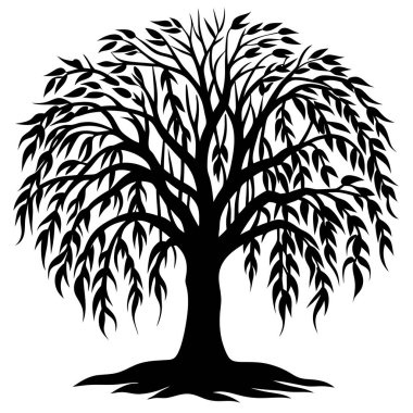 Doğal Söğüt Ağacı Silüeti Vektör Sanatı Doğa Temalı, Çevresel ve Peyzaj Projeleri İçin Zarif Tasarım