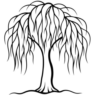 Doğal Söğüt Ağacı Silüeti Vektör Sanatı Doğa Temalı, Çevresel ve Peyzaj Projeleri İçin Zarif Tasarım