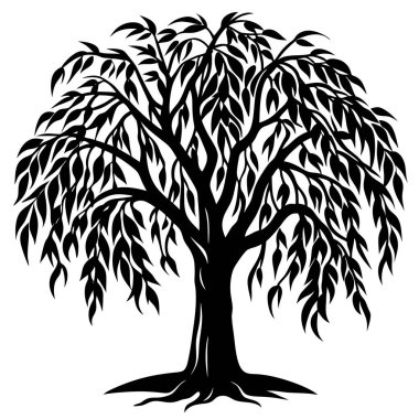 Doğal Söğüt Ağacı Silüeti Vektör Sanatı Doğa Temalı, Çevresel ve Peyzaj Projeleri İçin Zarif Tasarım