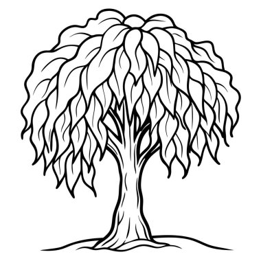 Doğal Söğüt Ağacı Silüeti Vektör Sanatı Doğa Temalı, Çevresel ve Peyzaj Projeleri İçin Zarif Tasarım