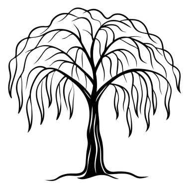 Natural Willow Tree Silhouette Vector Art Elegant Design for Nature-Themed, Environmental, and Landscape Projects clipart