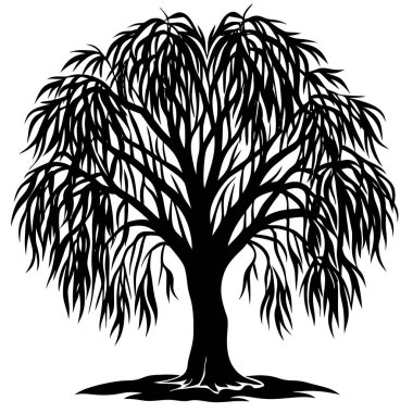 Doğal Söğüt Ağacı Silüeti Vektör Sanatı Doğa Temalı, Çevresel ve Peyzaj Projeleri İçin Zarif Tasarım