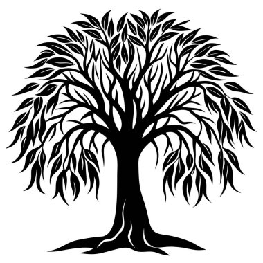 Doğal Söğüt Ağacı Silüeti Vektör Sanatı Doğa Temalı, Çevresel ve Peyzaj Projeleri İçin Zarif Tasarım