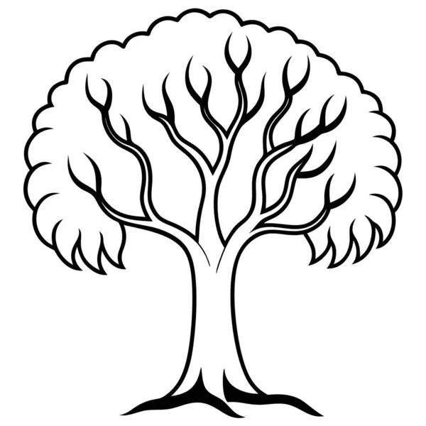 Doğal Söğüt Ağacı Silüeti Vektör Sanatı Doğa Temalı, Çevresel ve Peyzaj Projeleri İçin Zarif Tasarım