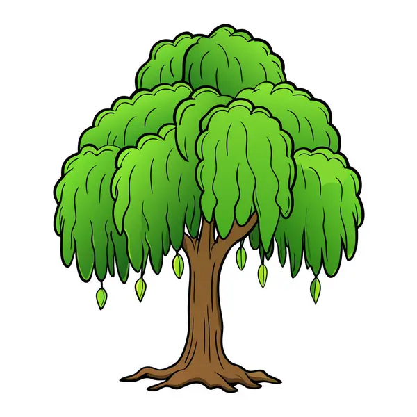 Doğal Söğüt Ağacı Silüeti Vektör Sanatı Doğa Temalı, Çevresel ve Peyzaj Projeleri İçin Zarif Tasarım