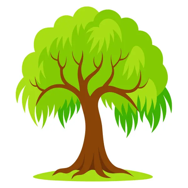 Doğal Söğüt Ağacı Silüeti Vektör Sanatı Doğa Temalı, Çevresel ve Peyzaj Projeleri İçin Zarif Tasarım