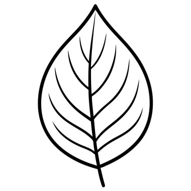 Doğal içerik için Cazibe Yaprak Vektörü Sanat Çizimi Tasarımı