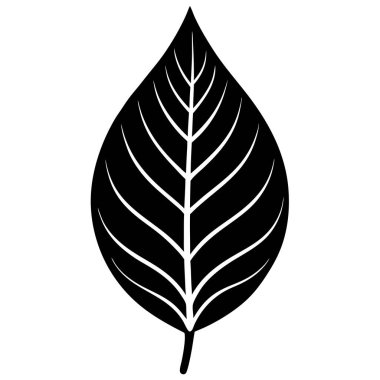 Doğal içerik için Cazibe Yaprak Vektörü Sanat Çizimi Tasarımı