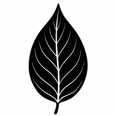 Doğal içerik için Cazibe Yaprak Vektörü Sanat Çizimi Tasarımı