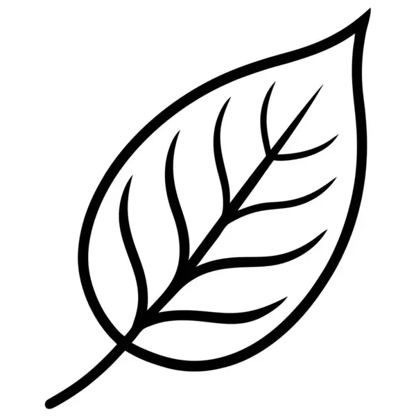 Doğal içerik için Cazibe Yaprak Vektörü Sanat Çizimi Tasarımı