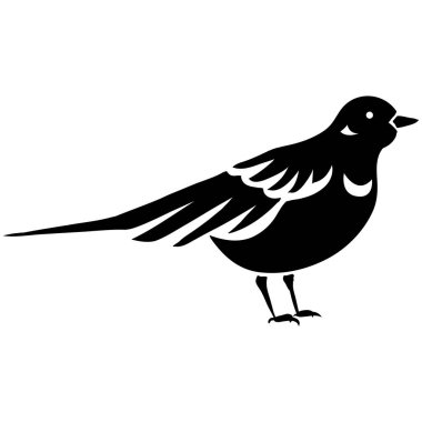 Kara Kuşlar Vektörü ve illüstrasyon