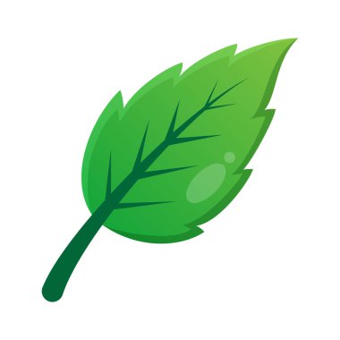 Yeşil Yaprak Vektör Tasarımı