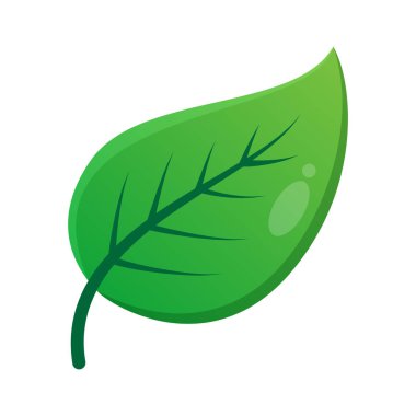 Yeşil Yaprak Vektör Tasarımı