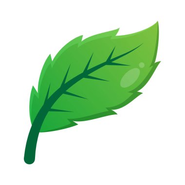 Yeşil Yaprak Vektör Tasarımı