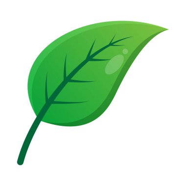 Yeşil Yaprak Vektör Tasarımı