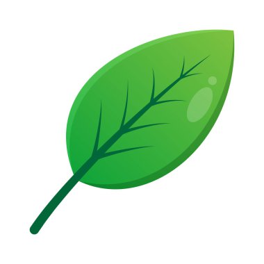 Yeşil Yaprak Vektör Tasarımı
