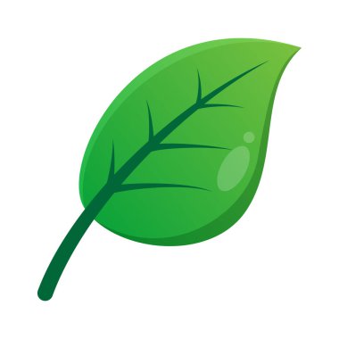 Yeşil Yaprak Vektör Tasarımı