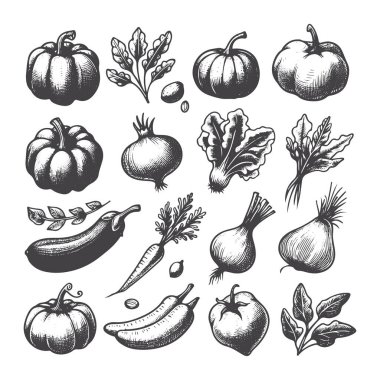 El Çizimi Sebze Çizimleri: Taze ve Organik Sanat Koleksiyonu