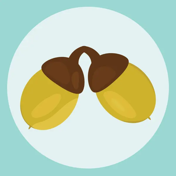 Soyut arkaplanda iki meşe palamudu vektörü.