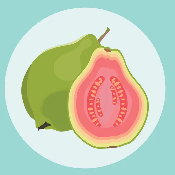 Soyut arkaplanda Guava vektör çizimi.