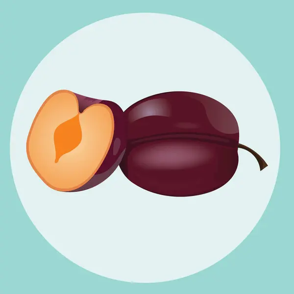 İzole edilmiş arka planda erik meyvesi vektörü. Olgun erik vektörü
