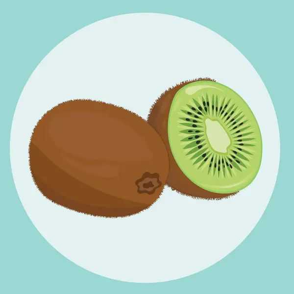 Dilimlenmiş parça vektör illüstrasyonlu Kivi meyveleri.
