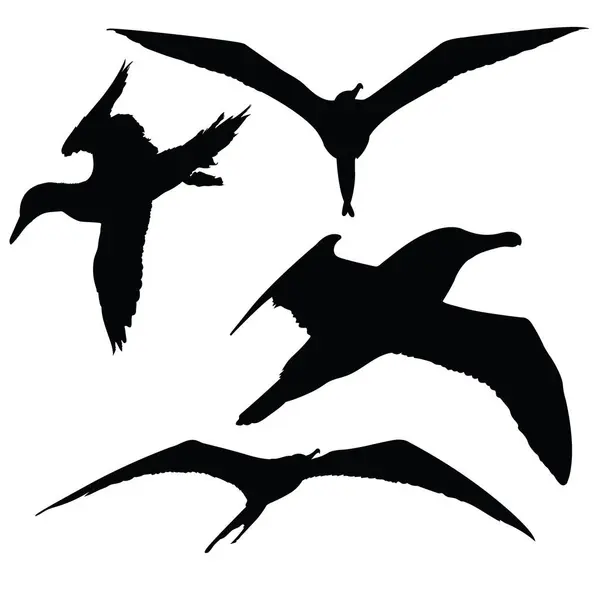 Farklı kuşlar siluet vektör çizimi yapar. Deniz kuşları siluet vektörü.