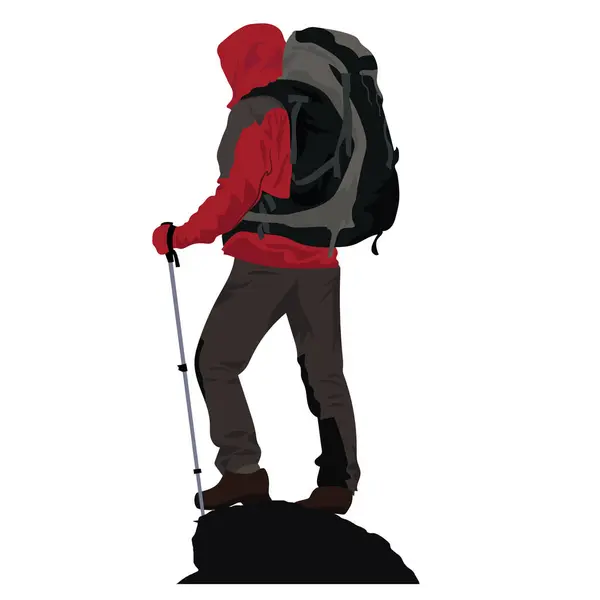 Sırt çantalı yürüyüşçü ve dağ tepesinde macera için yürüyüş direkleri, seyahat ve yolculuk. İzole edilmiş arkaplanda çizgi film biçimi vektör illüstrasyonu.