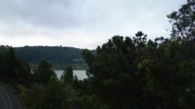 Bir dron, sık ağaçların arasından yukarı doğru yükselen bir tırmanışı yakalar ve çamlar ve okaliptüs yapraklarıyla çerçevelenmiş sakin bir nehir manzarasını yavaş yavaş ortaya çıkarır. Gözlerden uzak yoldan çekilen çekimler yan yana devam ediyor.