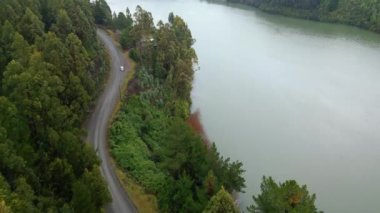 Şili, Valdivia yakınlarındaki yoğun yeşil ormanlarla çevrili sakin bir nehir boyunca uzanan dolambaçlı bir yolun manzarası. Yol nehir kıyısında yavaşça kıvrılır ve pitoresk bir yol yaratır.