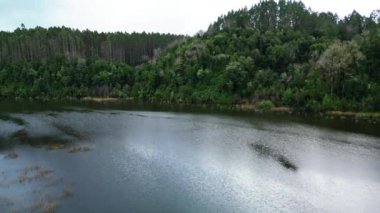 Sakin bir göl, yoğun ve canlı bir ormanla çevrili bulutlu gökyüzünü yansıtan huzurlu bir hava manzarası. Görüntüler, sazlıklar ve yemyeşil yapraklarla sakin suları vurguluyor.