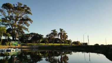 Montevideo 'daki sakin bir parkta, etraftaki ağaçları ve yapıları yansıtan sakin suların olduğu altın bir saat. Palmiye ağaçları ve yüksek okaliptüs altın güneş ışığıyla sakin bir sahne oluşturur.