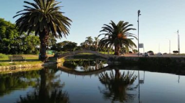 Montevideo 'da bir parktaki küçük bir köprünün sakin günbatımı görüntüsü, aşağıdaki suları yansıtıyor. İkonik palmiye ağaçları sahneyi çevreleyerek sakin atmosfere tropikal bir dokunuş ekliyor. Şey...