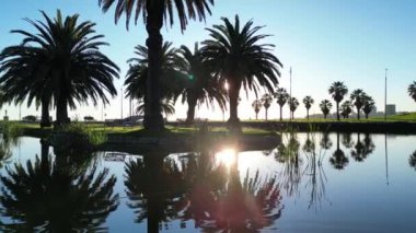 Montevideo 'da sakin bir manzara bir göletin durgun sularına yansıyan palmiye ağaçlarını yakalar. Sıcak güneş ışığı yemyeşil çevreyi aydınlatıyor. Huzurlu ve huzurlu bir ortam oluşturuyor.