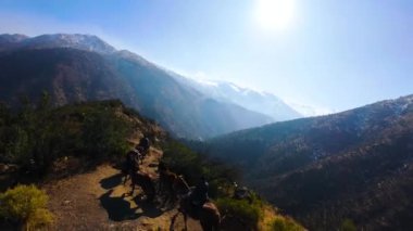 Bu FPV insansız hava aracının dinamik güzelliğine dalın. Gün doğumunun yumuşak ışığı altında engebeli bir dağ yolunda yol alan atları yakalayın. Video sıcaklığın etkileşimini vurgular